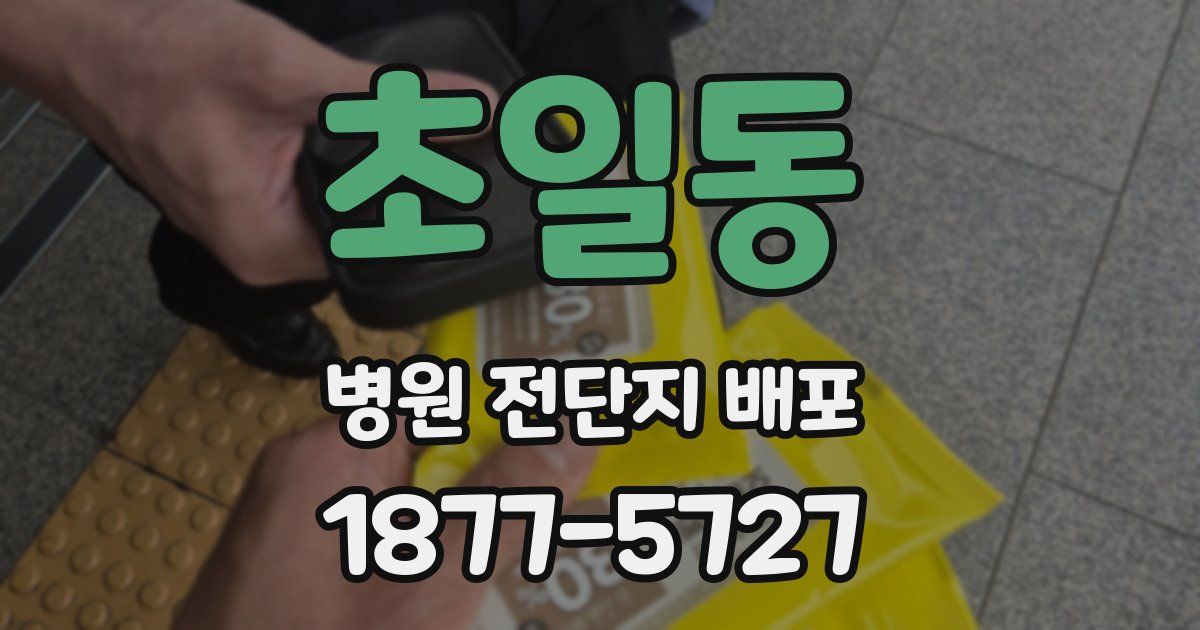 초일동 병원 전단지 배포
