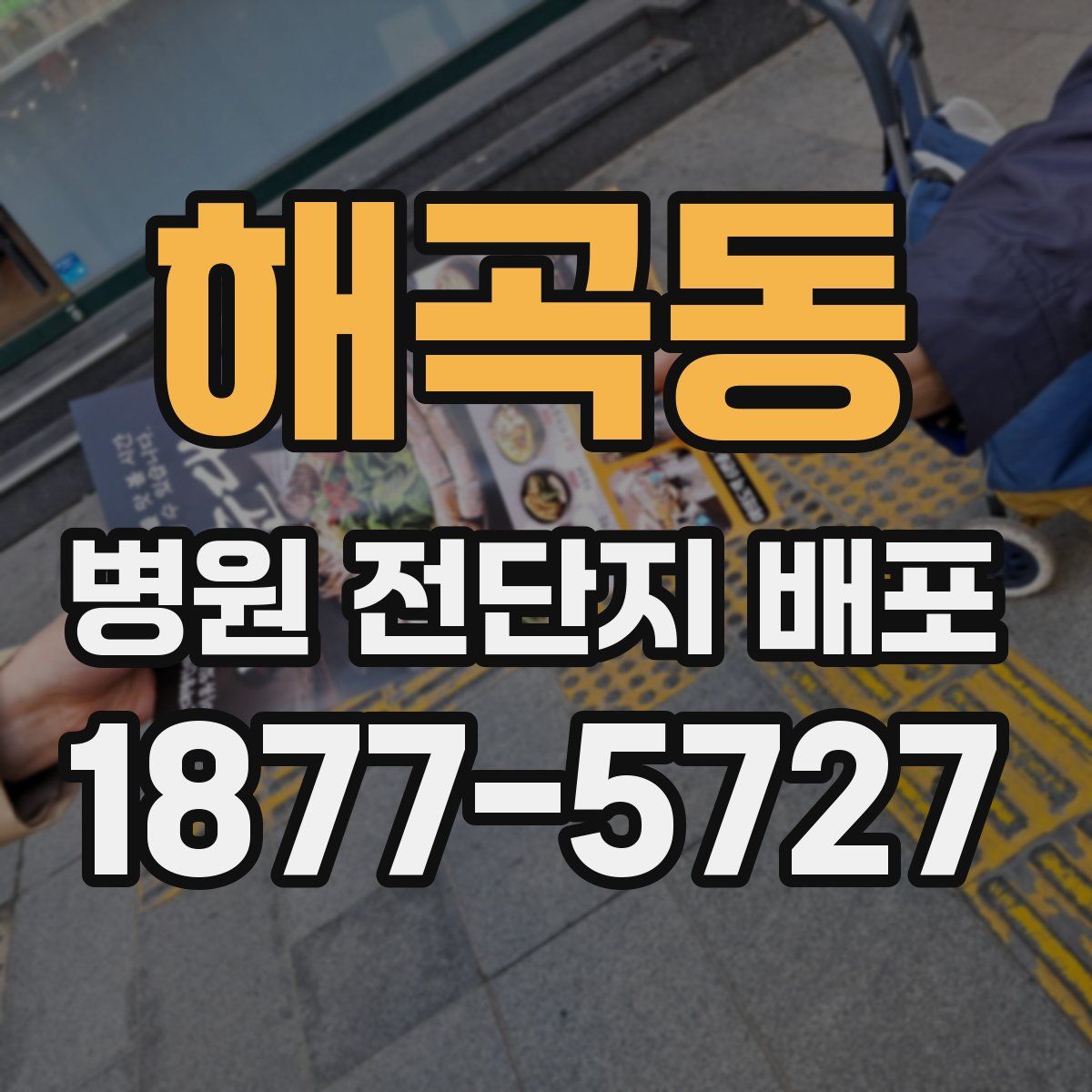 해곡동 병원 전단지 배포