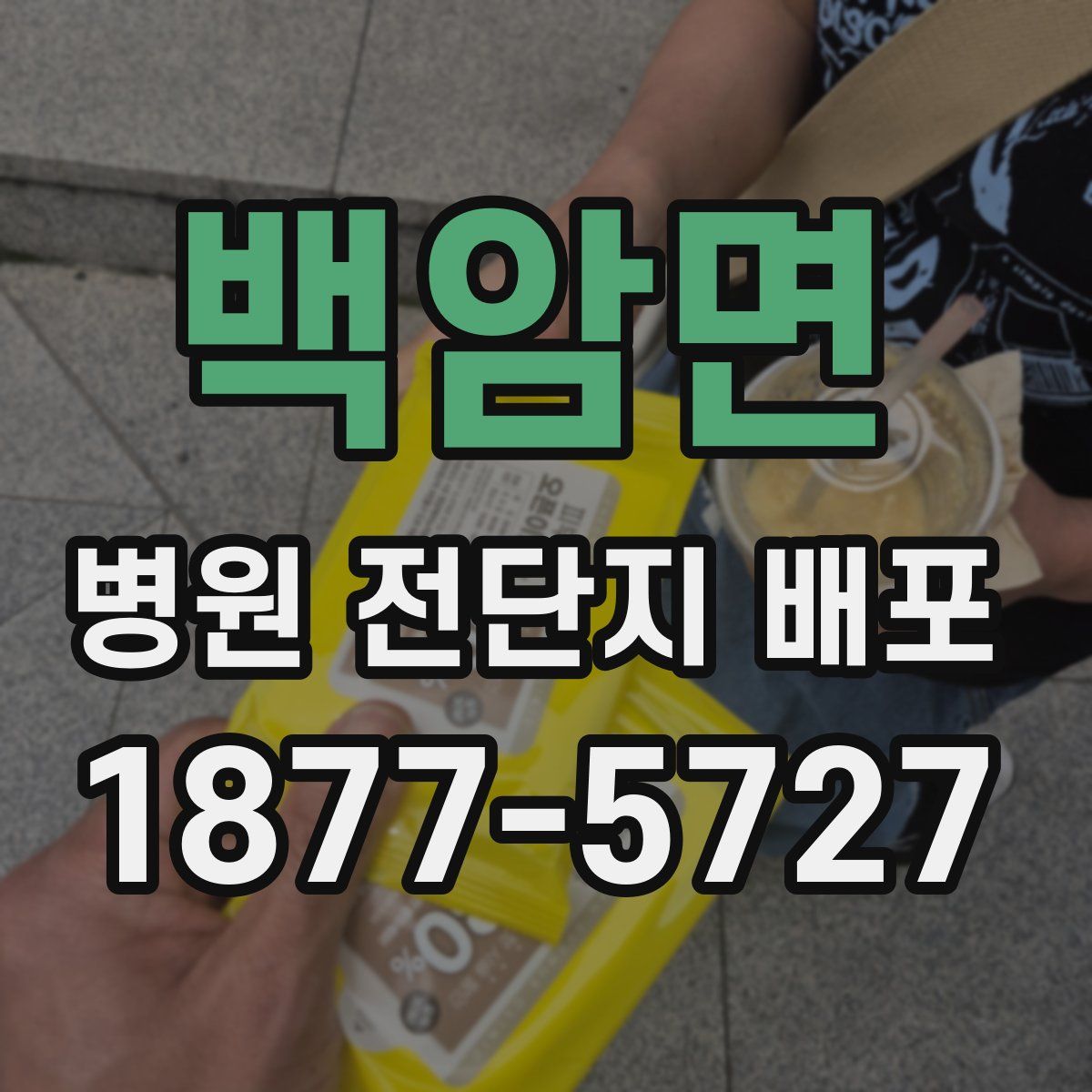백암면 병원 전단지 배포