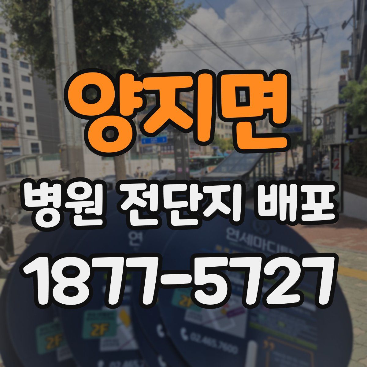 양지면 병원 전단지 배포