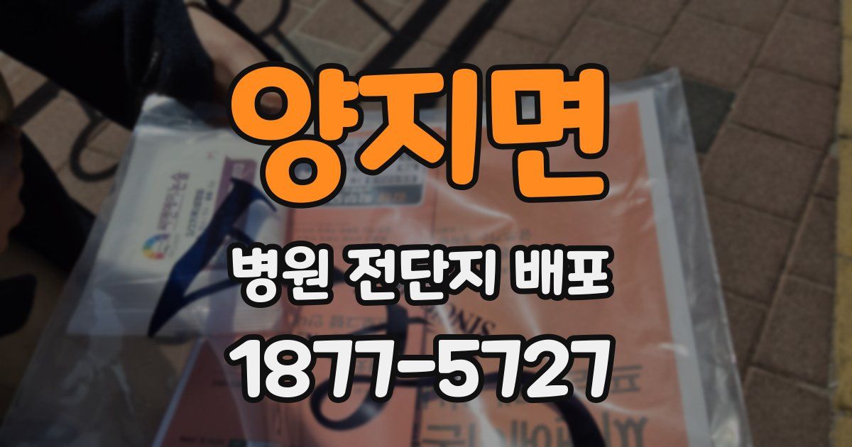 양지면 병원 전단지 배포