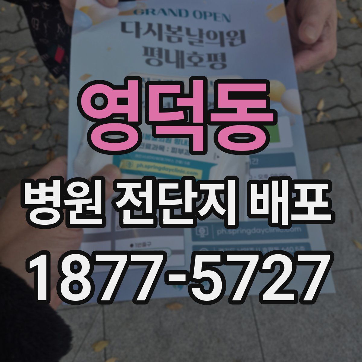 영덕동 병원 전단지 배포