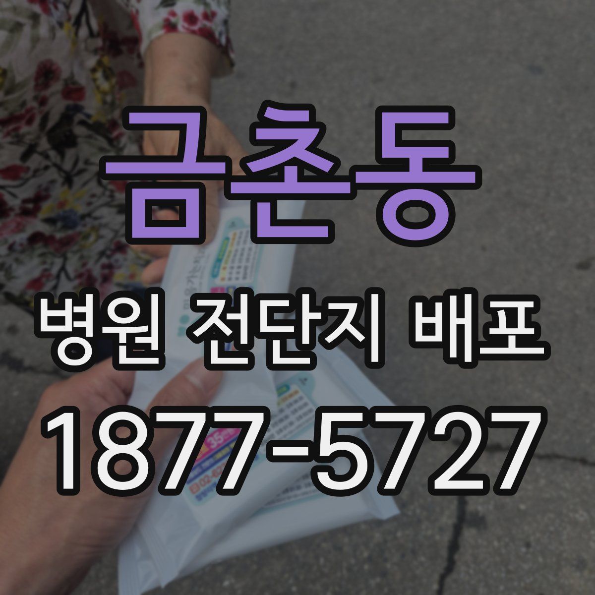 금촌동 병원 전단지 배포