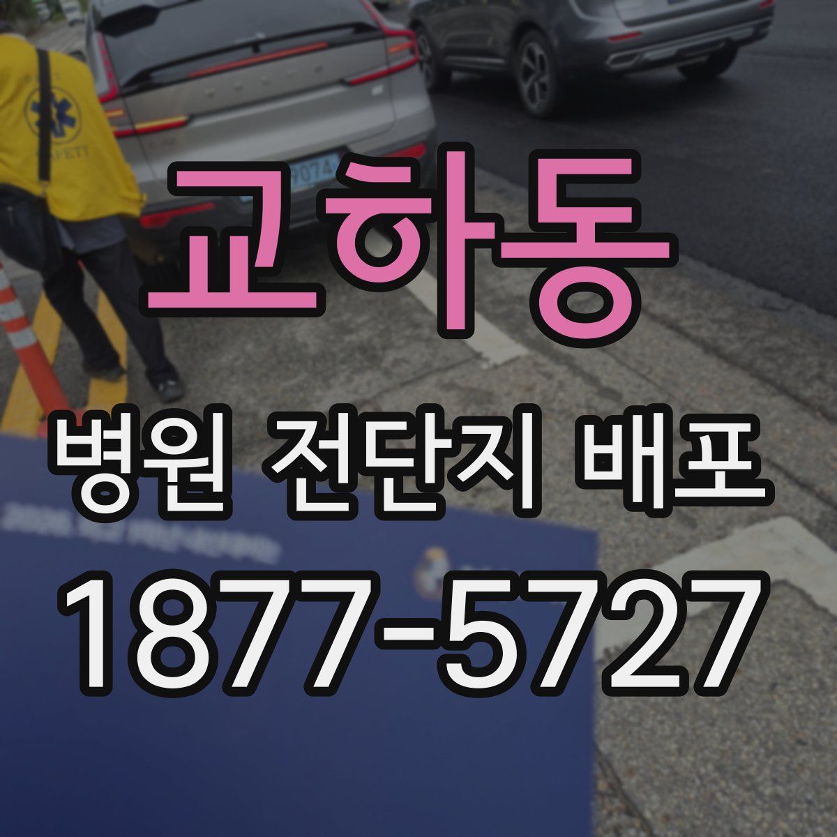 교하동 병원 전단지 배포