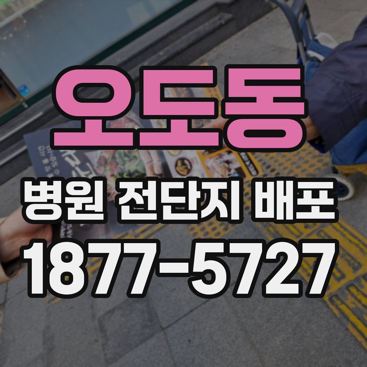 오도동 병원 전단지 배포