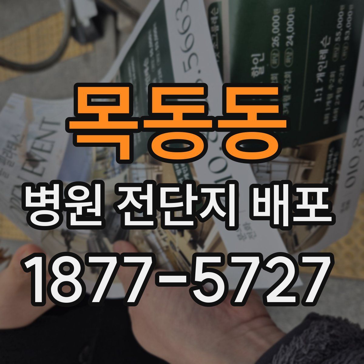 목동동 병원 전단지 배포