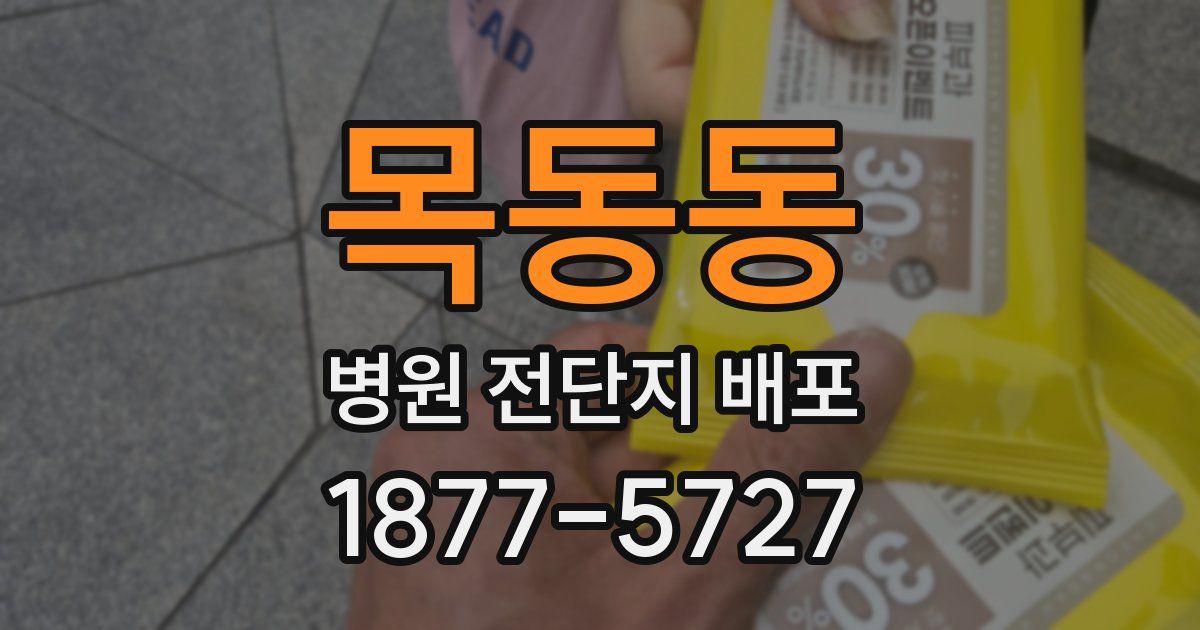 목동동 병원 전단지 배포