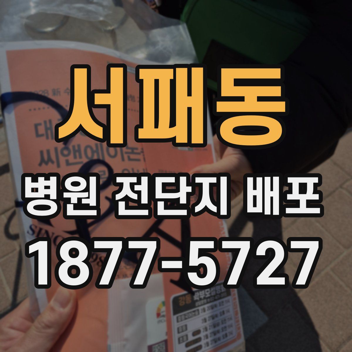 서패동 병원 전단지 배포