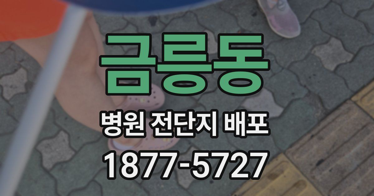 금릉동 병원 전단지 배포