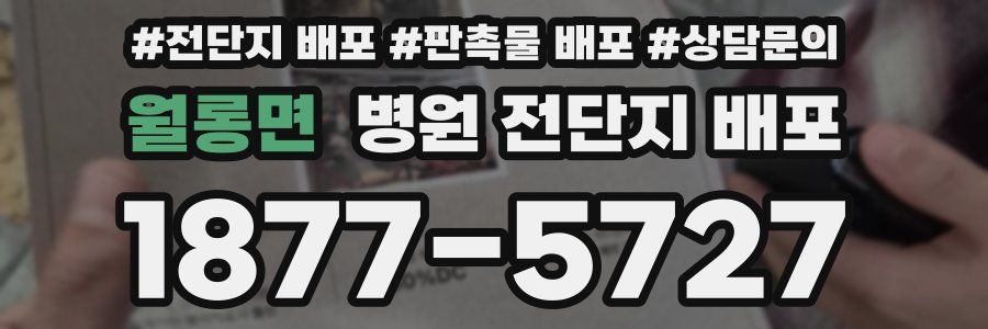 월롱면 병원 전단지 배포