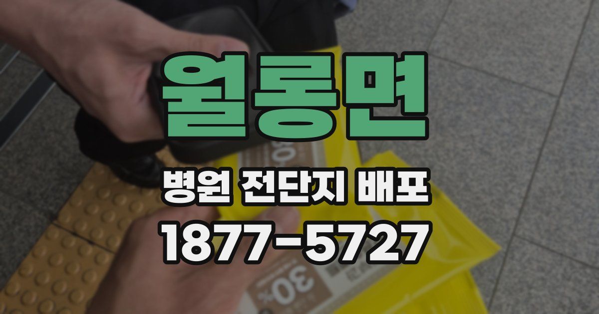 월롱면 병원 전단지 배포