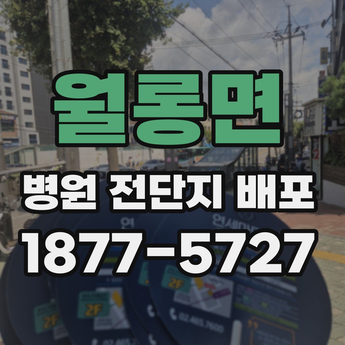 월롱면 병원 전단지 배포