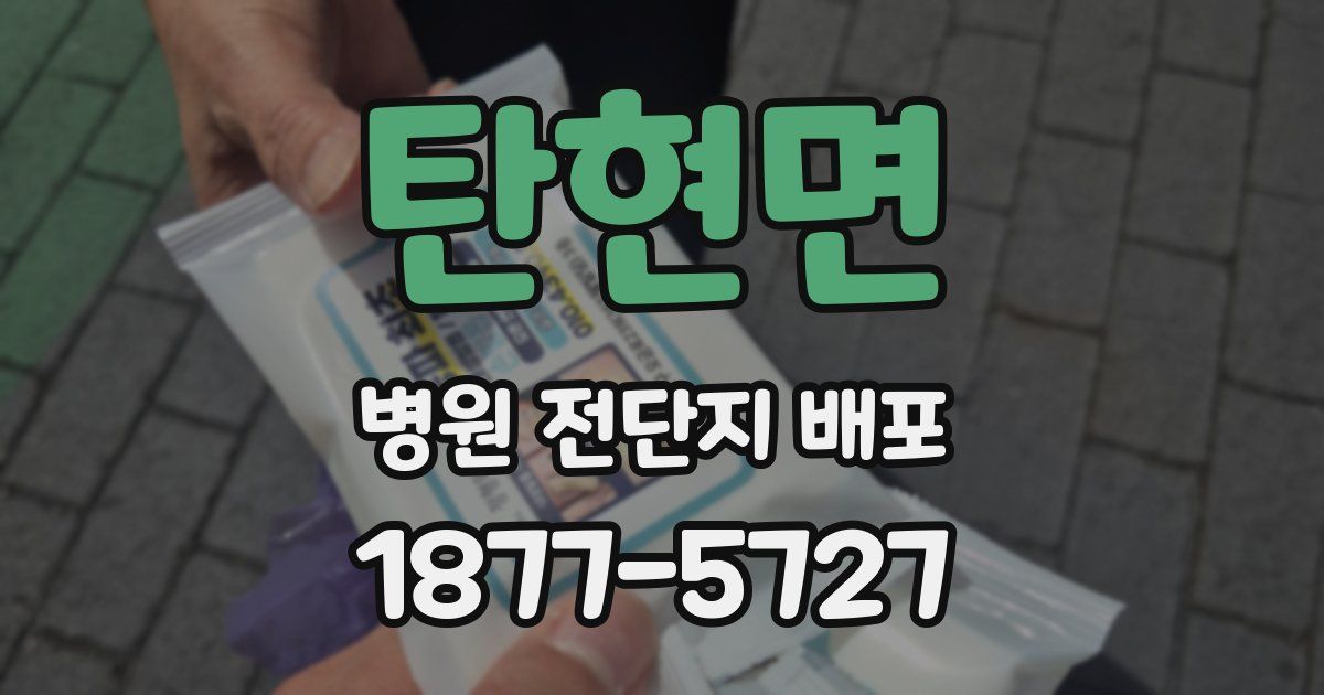 탄현면 병원 전단지 배포