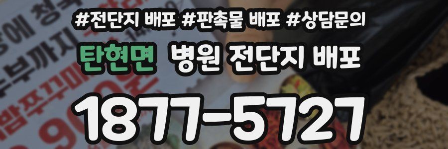 탄현면 병원 전단지 배포