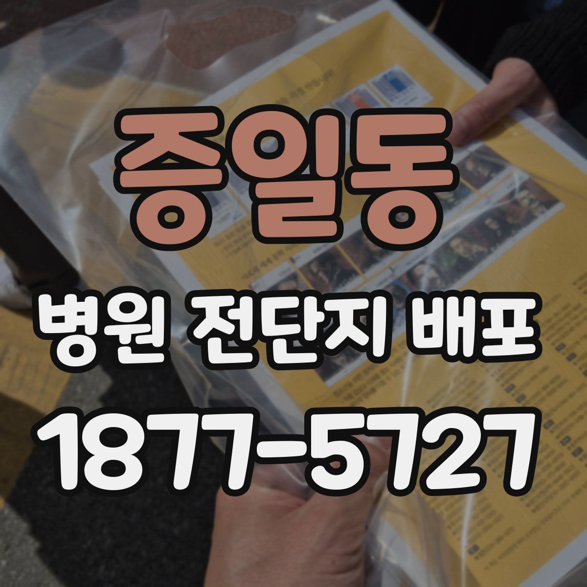 증일동 병원 전단지 배포