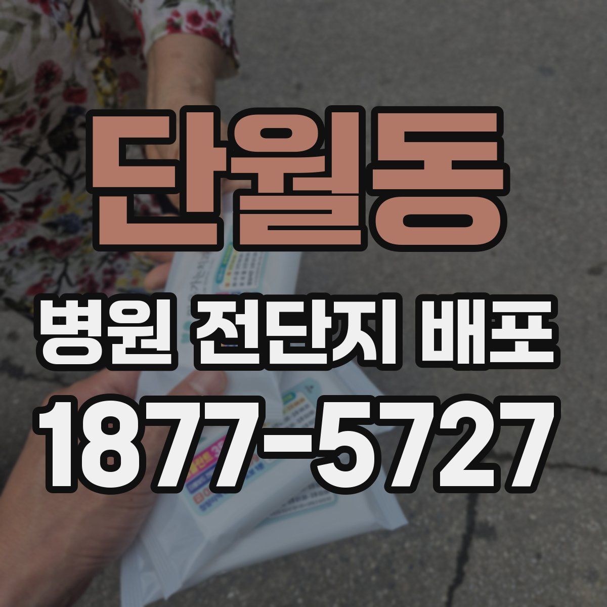 단월동 병원 전단지 배포