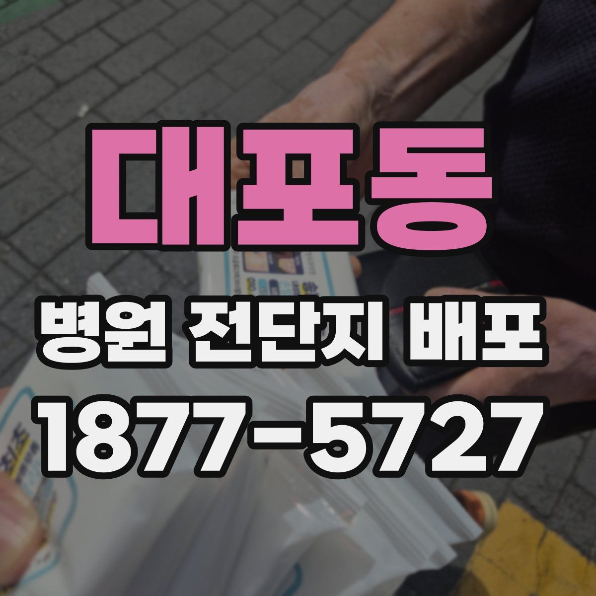 대포동 병원 전단지 배포