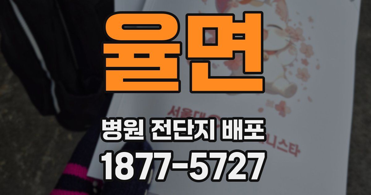 율면 병원 전단지 배포