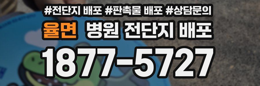 율면 병원 전단지 배포