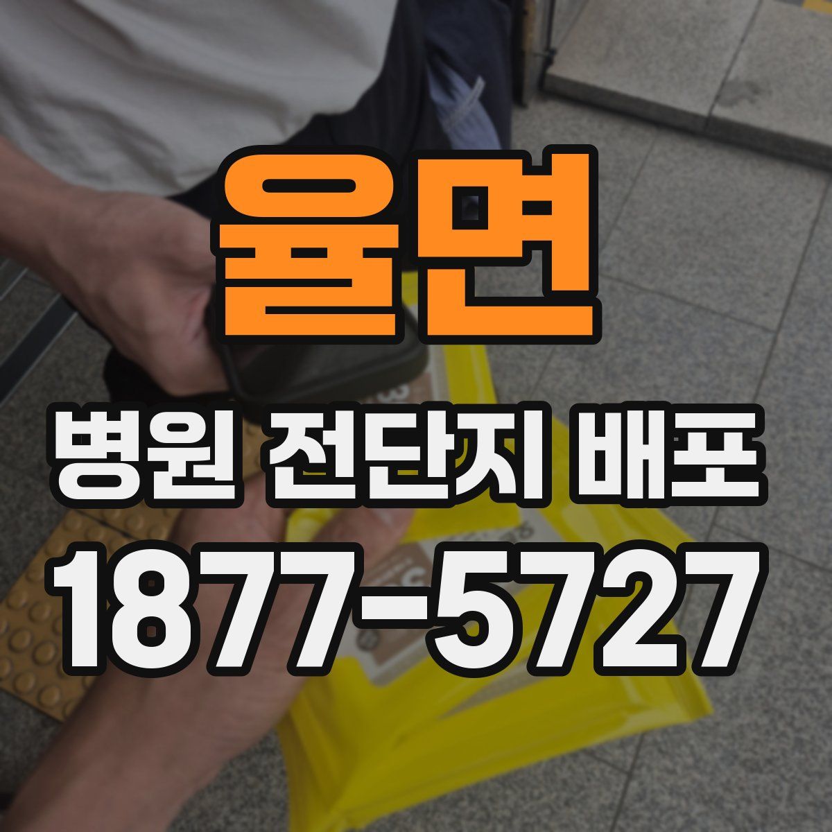 율면 병원 전단지 배포