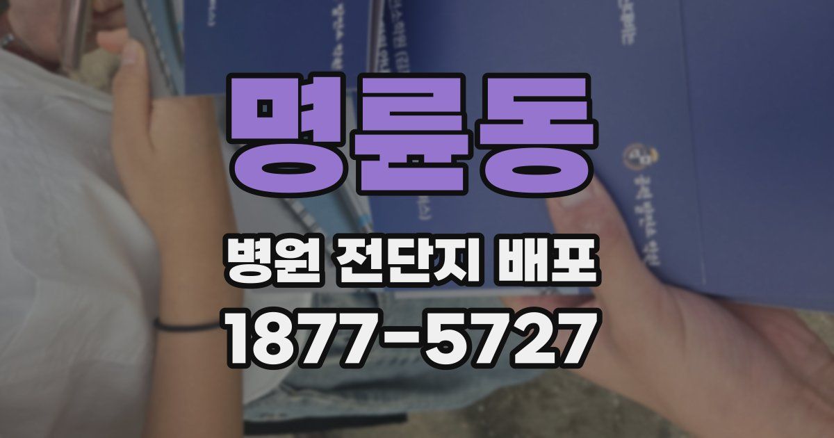 명륜동 병원 전단지 배포