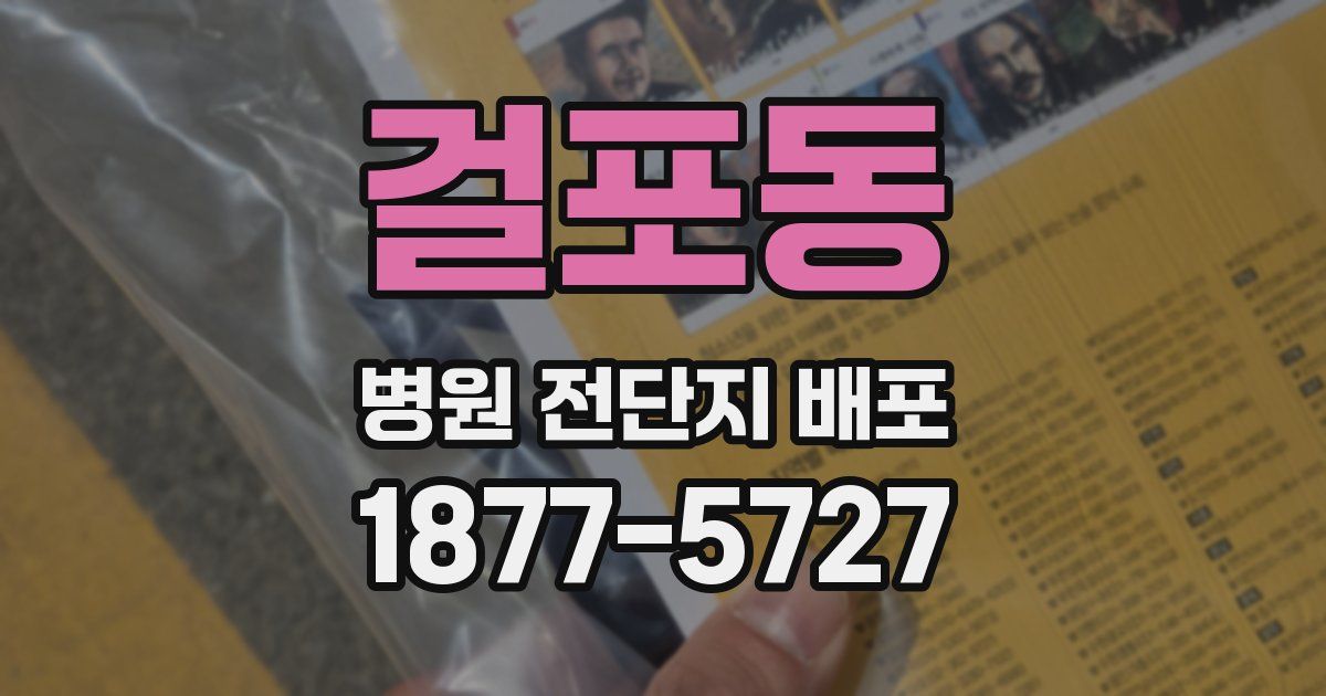 걸포동 병원 전단지 배포
