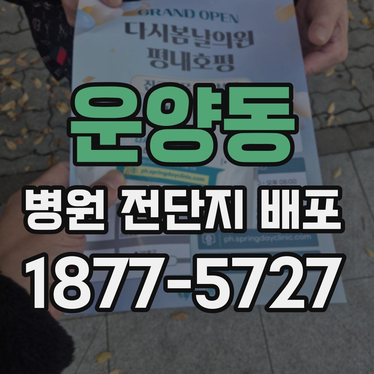 운양동 병원 전단지 배포