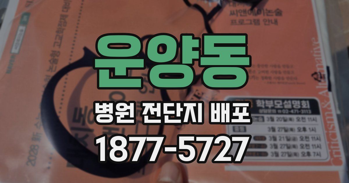 운양동 병원 전단지 배포