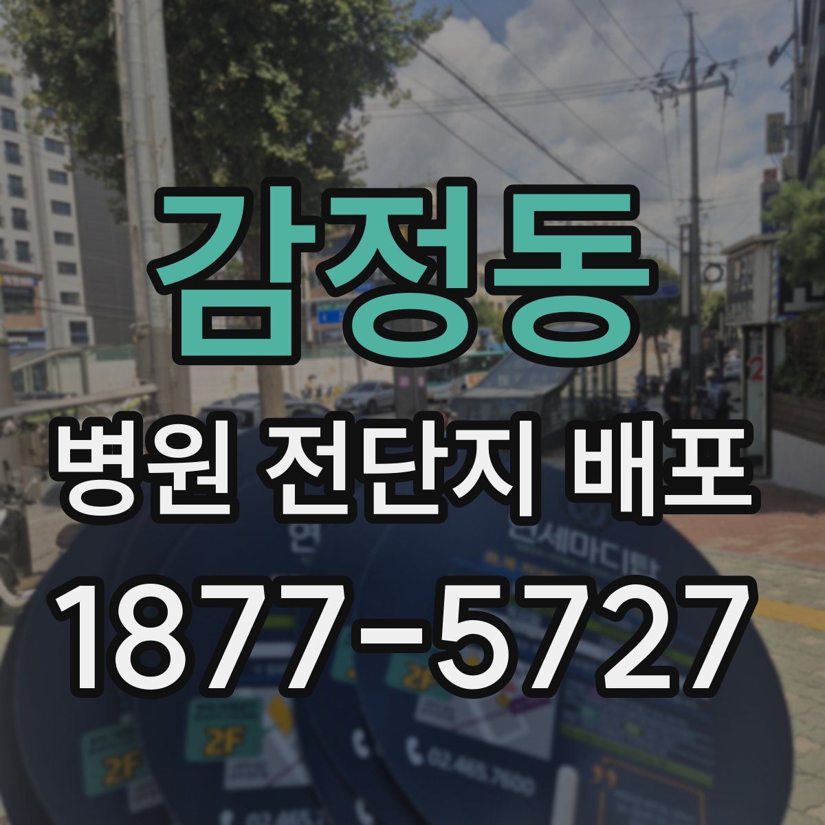 감정동 병원 전단지 배포