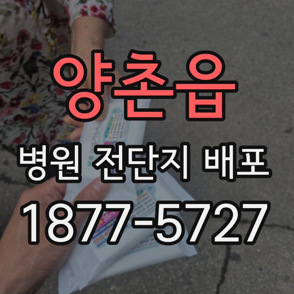 양촌읍 병원 전단지 배포