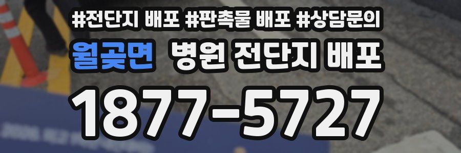 월곶면 병원 전단지 배포