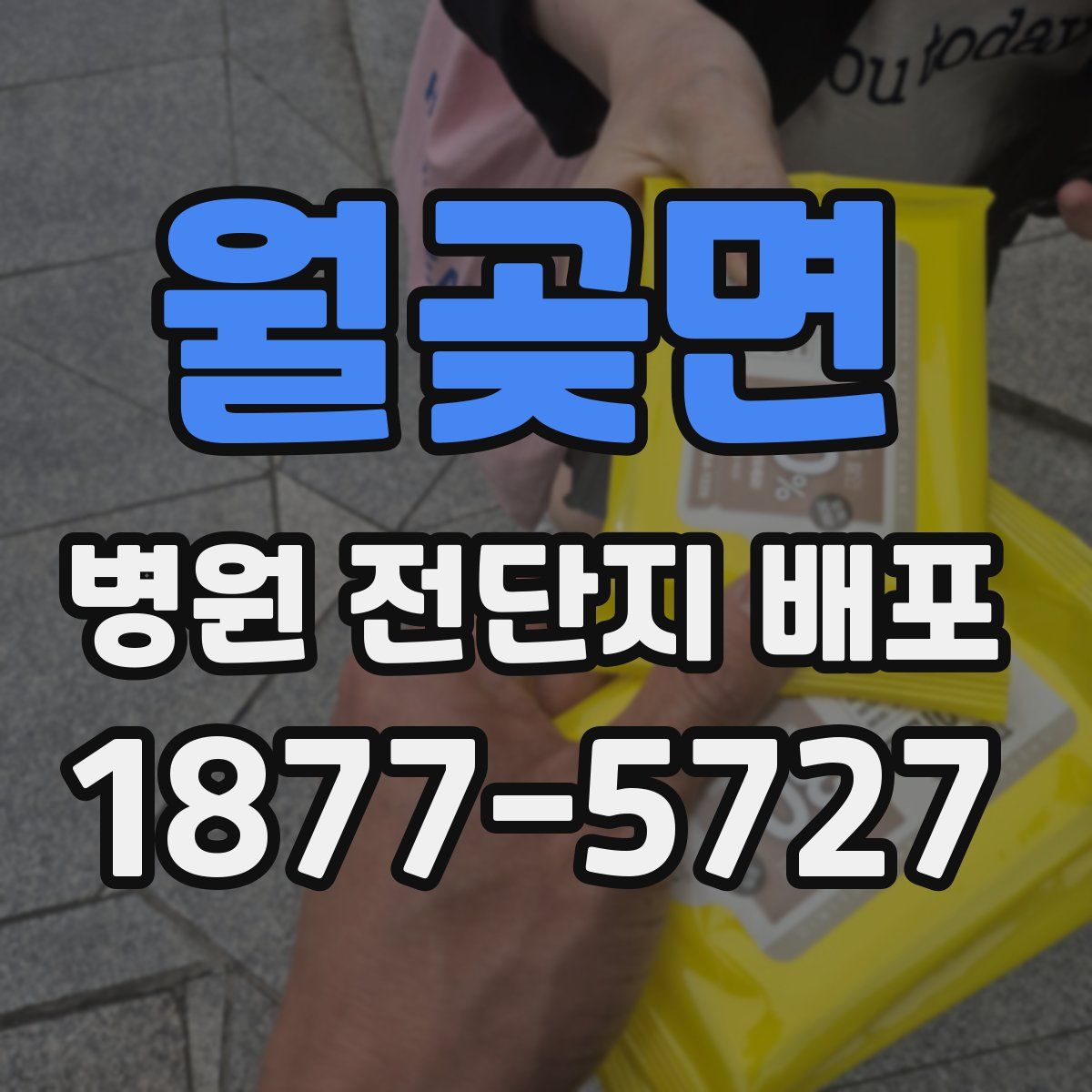 월곶면 병원 전단지 배포