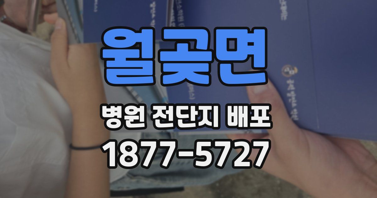 월곶면 병원 전단지 배포