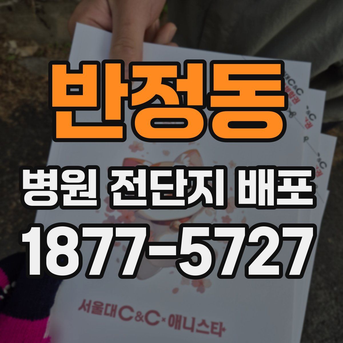 반정동 병원 전단지 배포