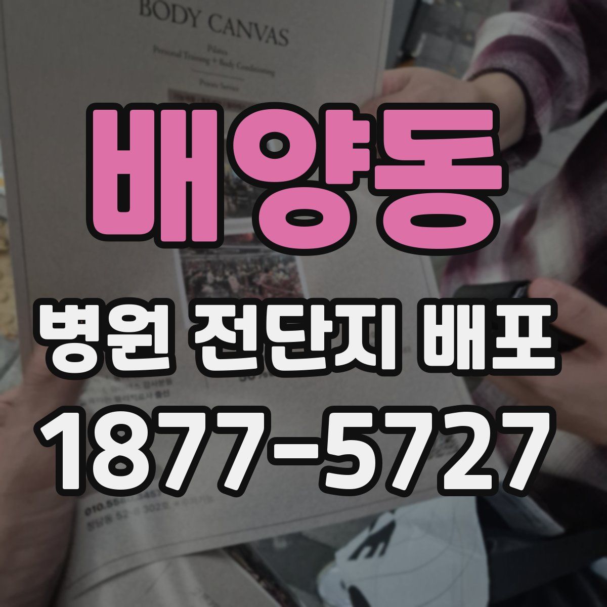 배양동 병원 전단지 배포