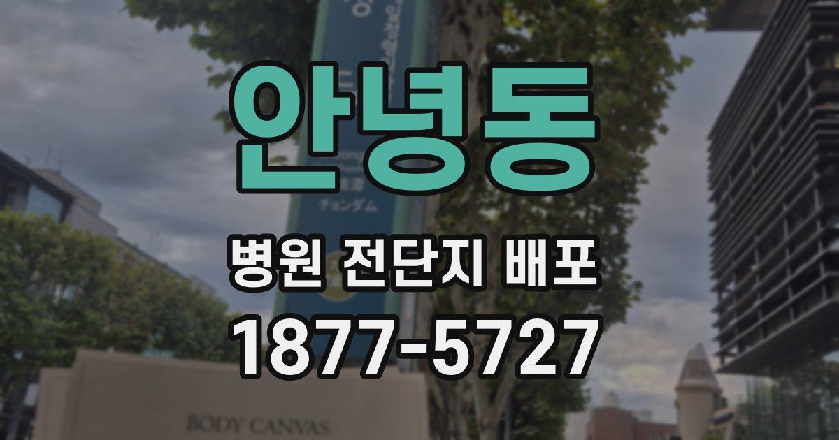안녕동 병원 전단지 배포