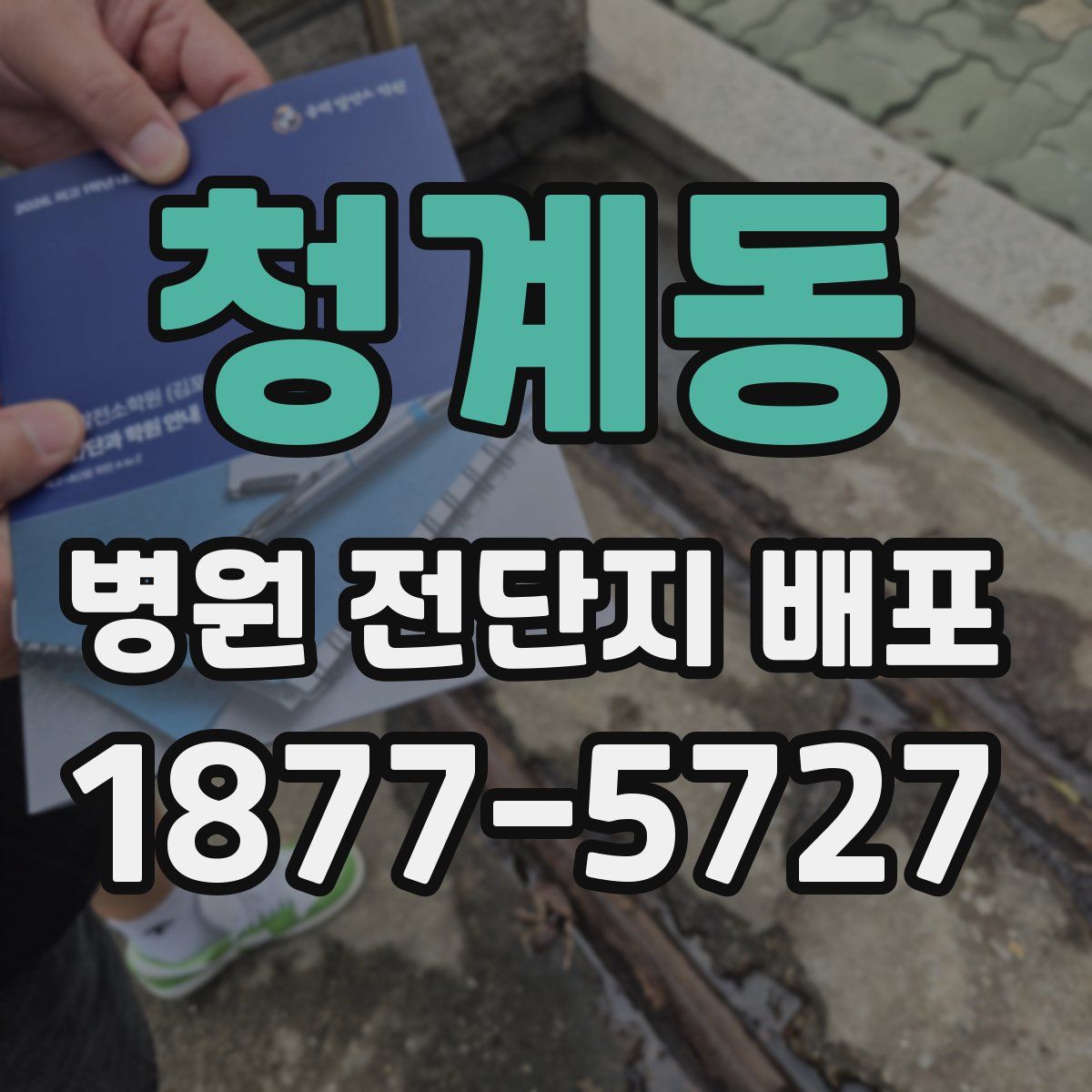 청계동 병원 전단지 배포