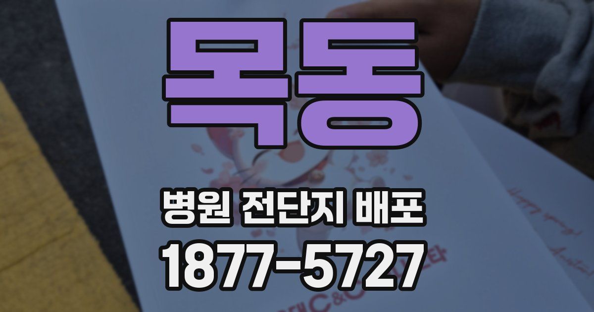 목동 병원 전단지 배포