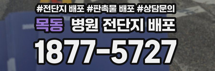 목동 병원 전단지 배포