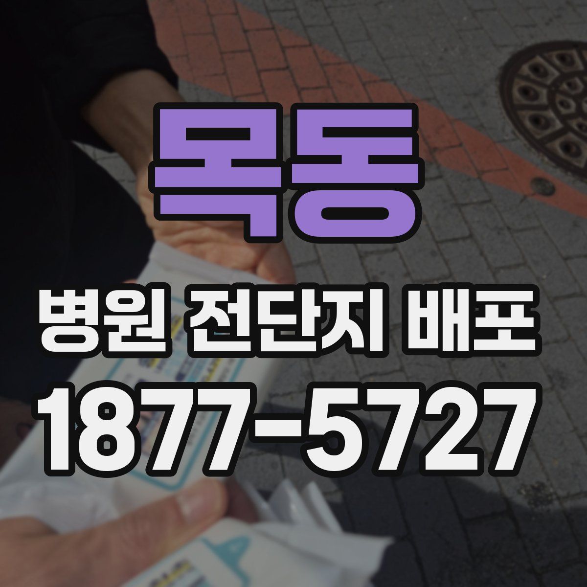 목동 병원 전단지 배포