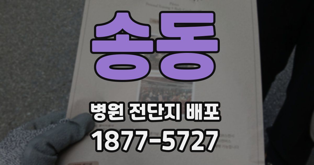 송동 병원 전단지 배포