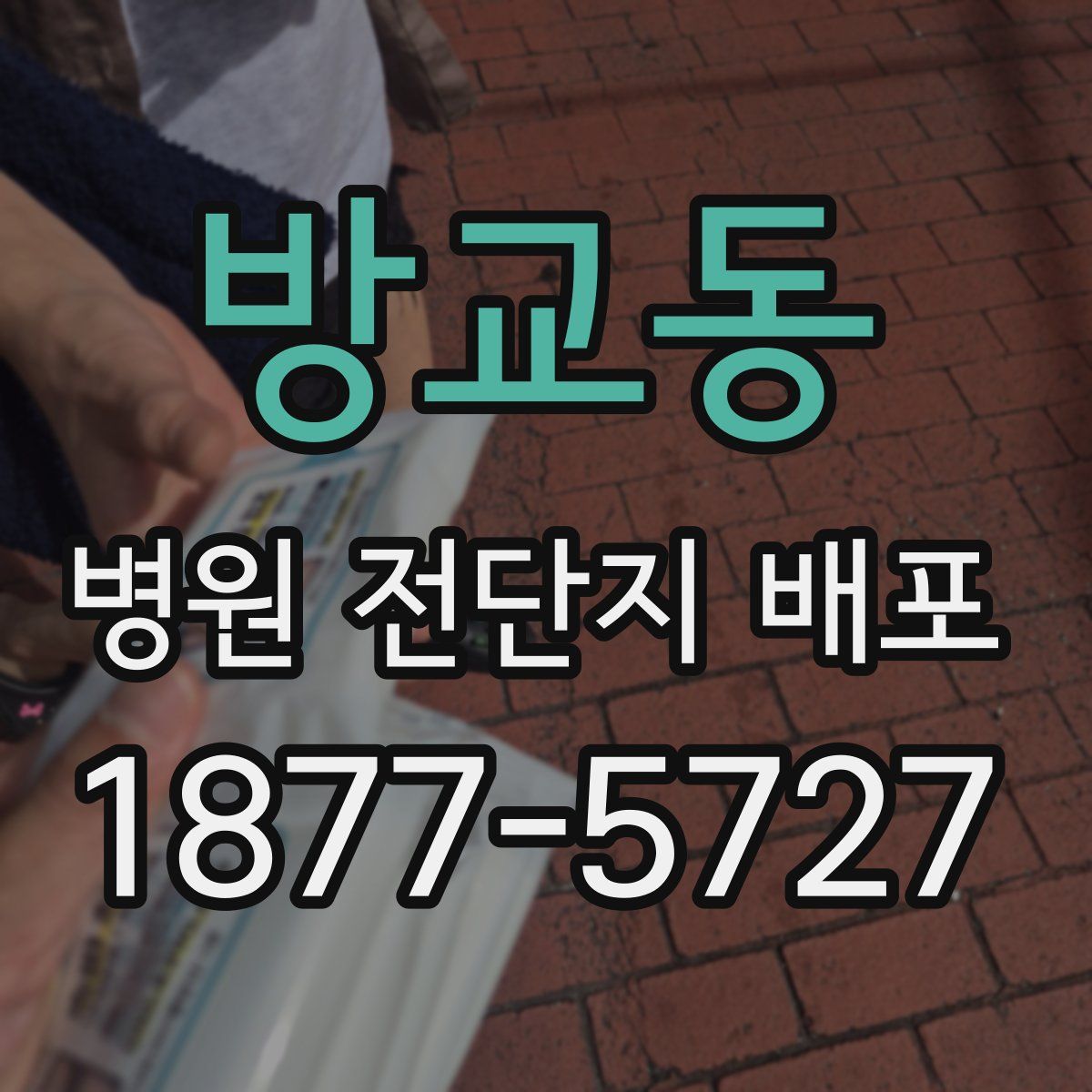 방교동 병원 전단지 배포
