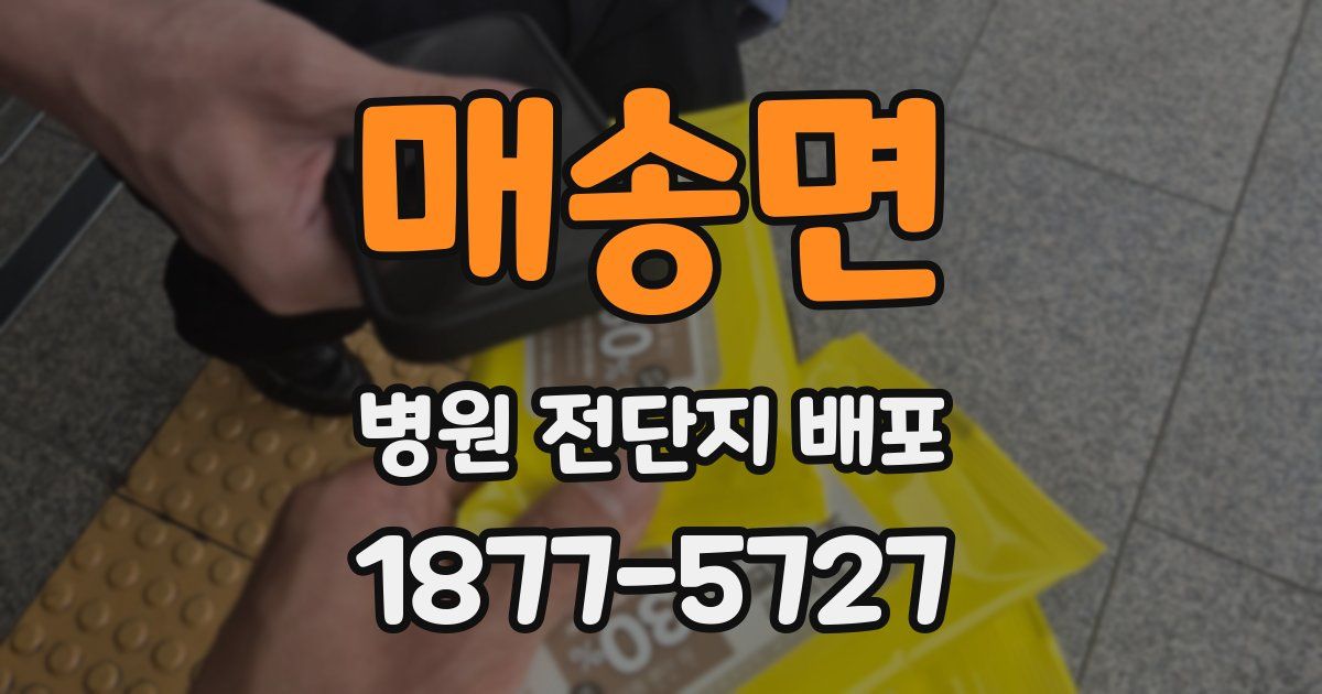 매송면 병원 전단지 배포