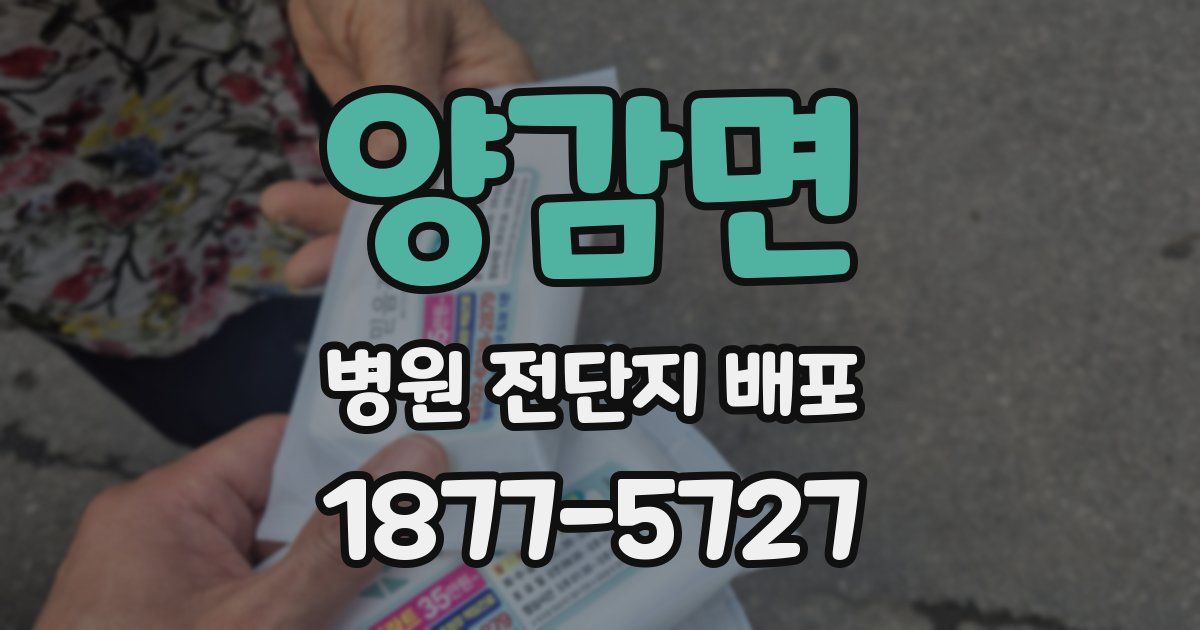 양감면 병원 전단지 배포