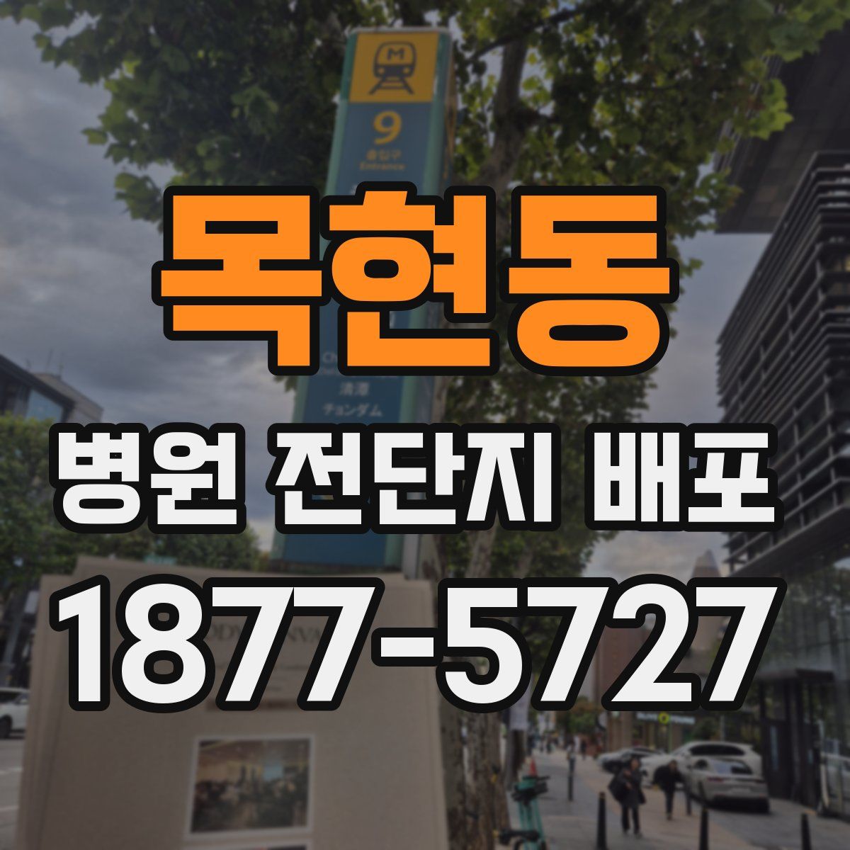 목현동 병원 전단지 배포