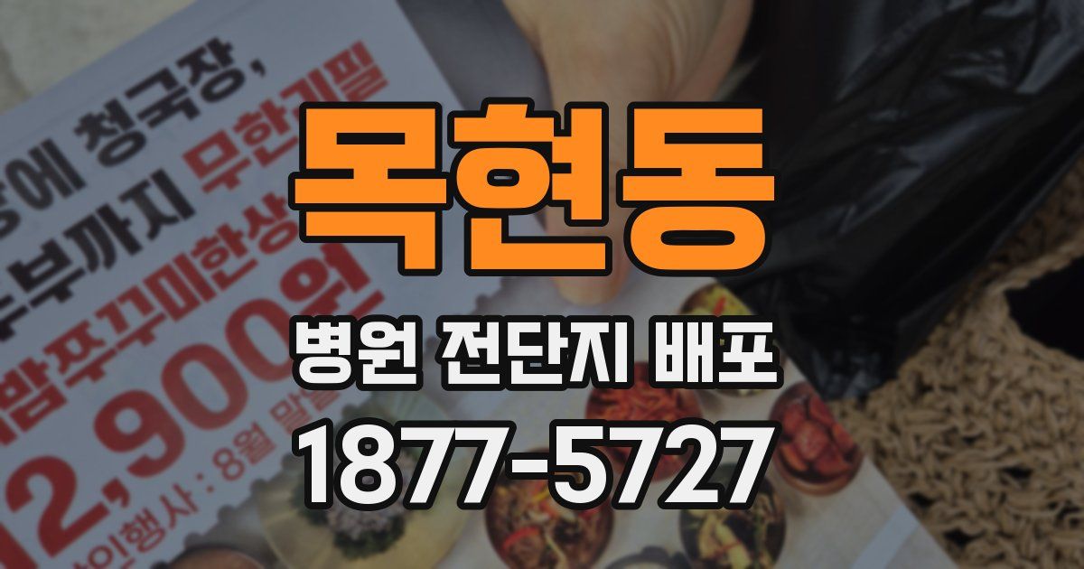 목현동 병원 전단지 배포