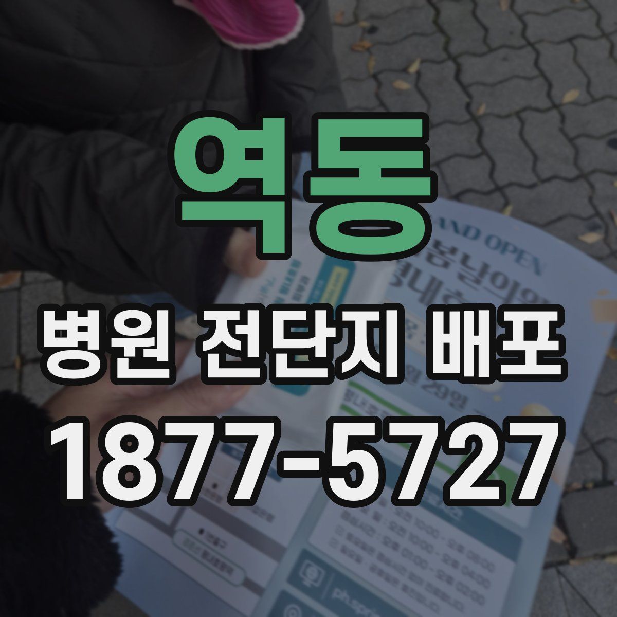 역동 병원 전단지 배포
