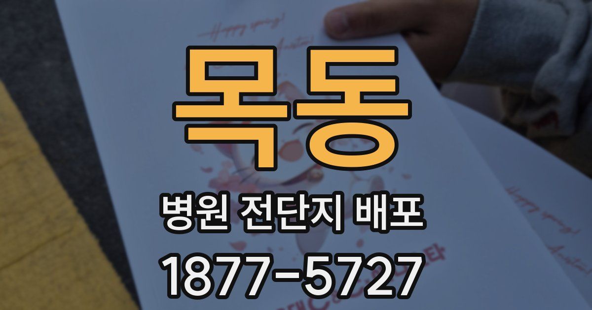 목동 병원 전단지 배포