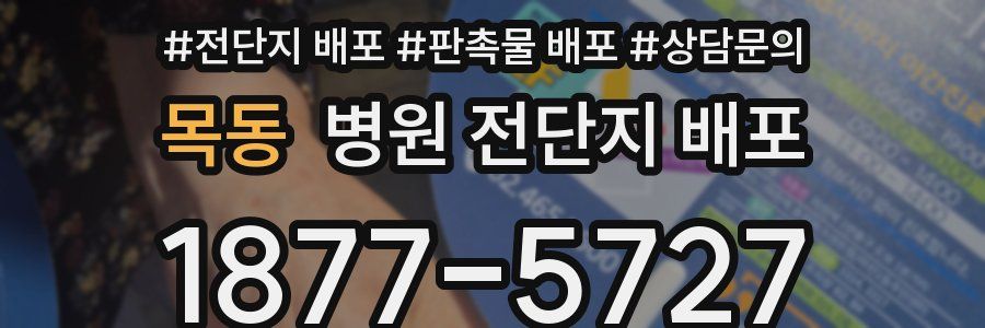 목동 병원 전단지 배포
