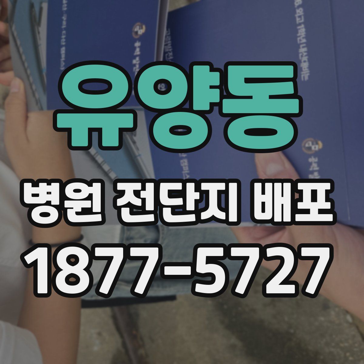 유양동 병원 전단지 배포